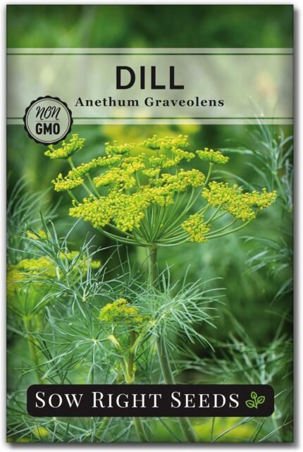Sow Right Seeds - Dill Seed for Planting - Non-GMO Heirloom Packet with Instructions to Plant and Grow Herb Garden - Indoors or Outdoors - Homemade Dill Pickles - Wonderful Companion Plant (1)